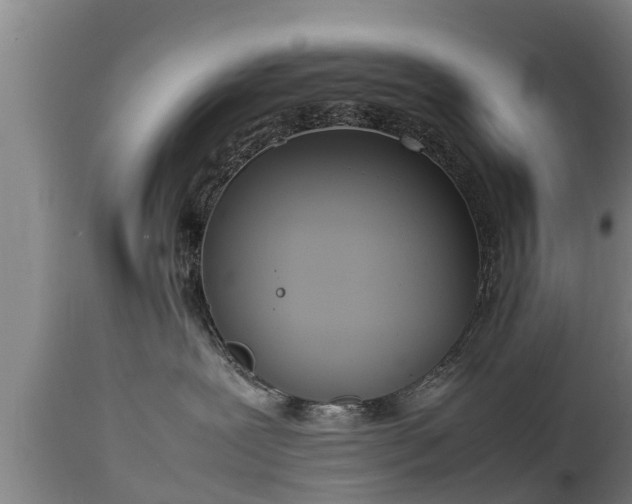 X0000112850239200908281611