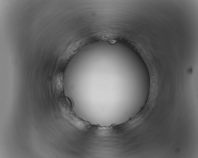 X0000112850240200908281611