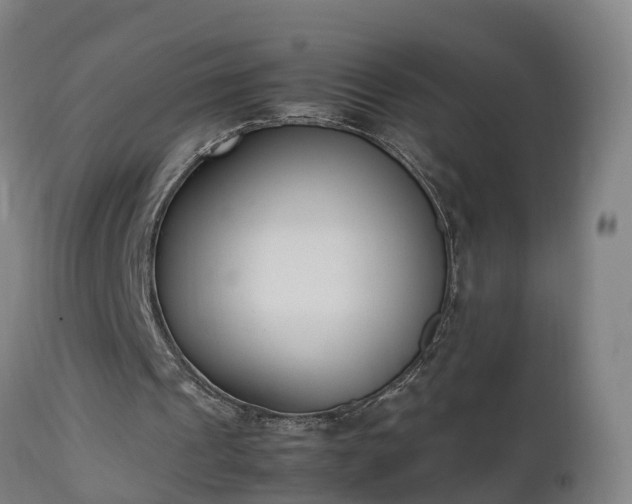 X0000112850241200908281610