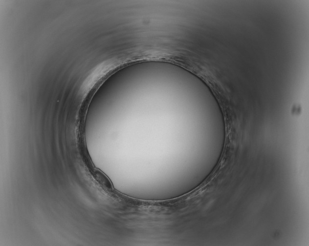 X0000112850242200908281610