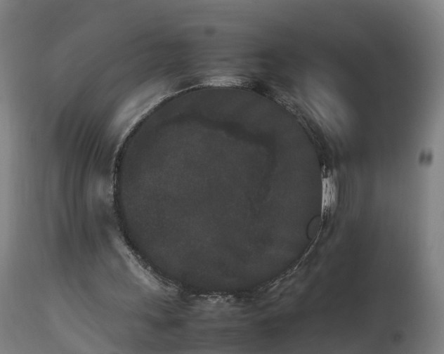 X0000112850243200908281610