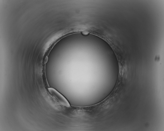 X0000112850244200908281610