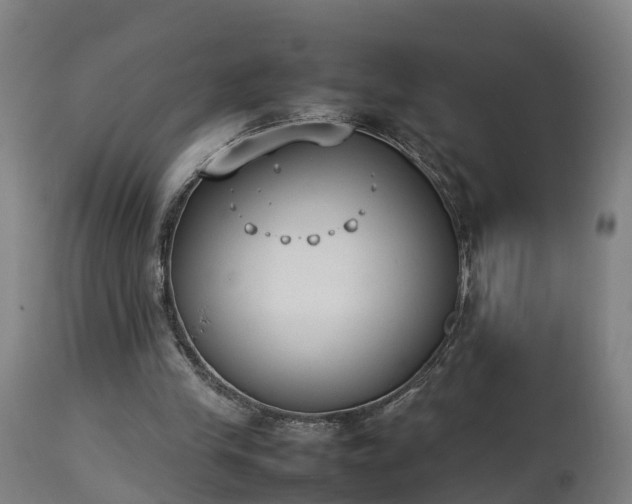 X0000112850245200908281610