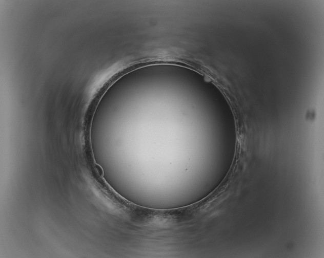 X0000112850248200908281610