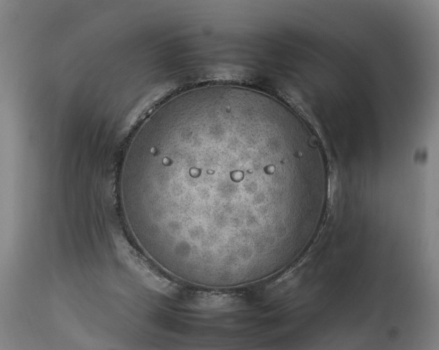 X0000112850249200908281610