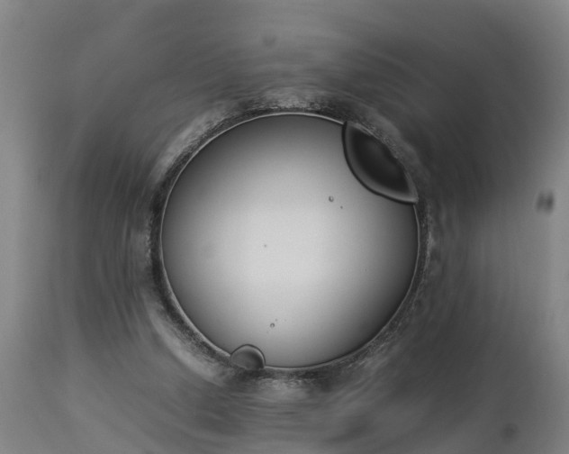 X0000112850250200908281610