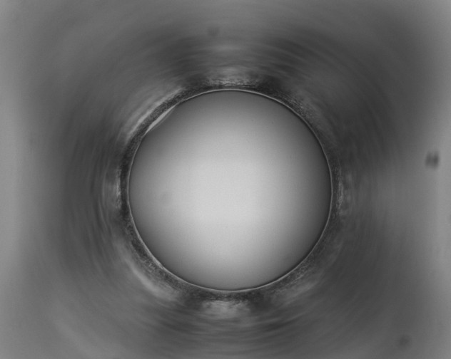 X0000112850251200908281610