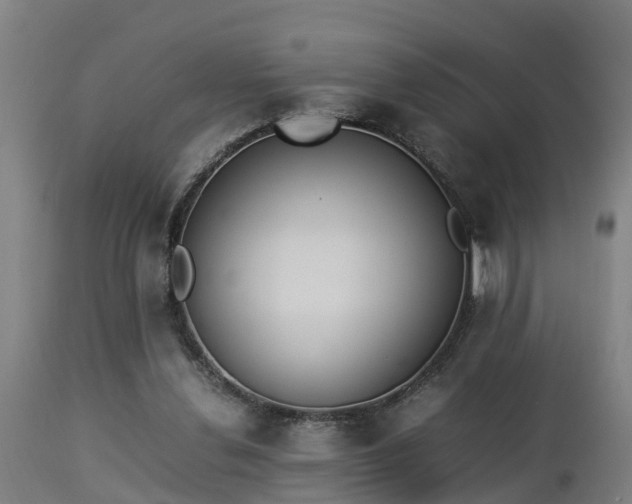 X0000112850252200908281610