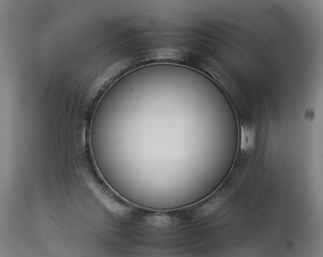 X0000112850253200908281610