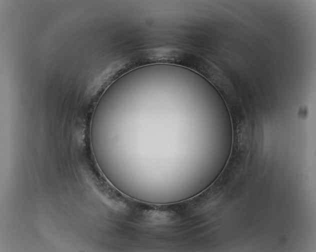 X0000112850255200908281610