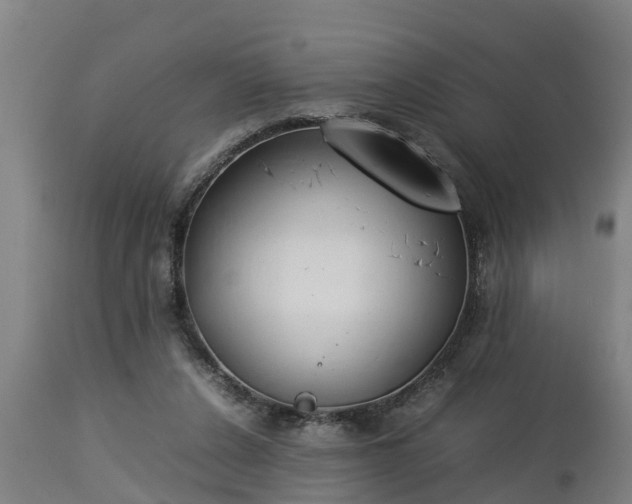 X0000112850256200908281610