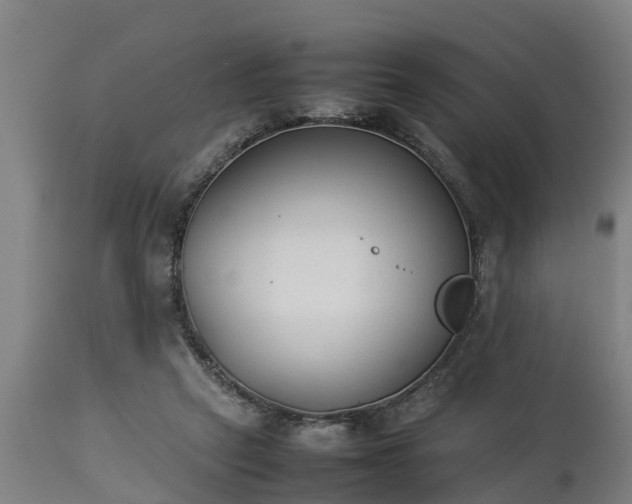 X0000112850257200908281610