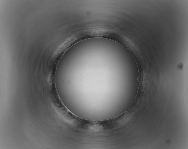 X0000112850258200908281610