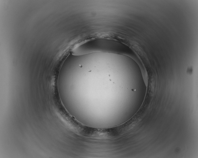 X0000112850260200908281610