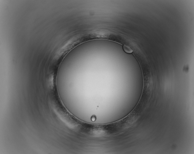 X0000112850262200908281610