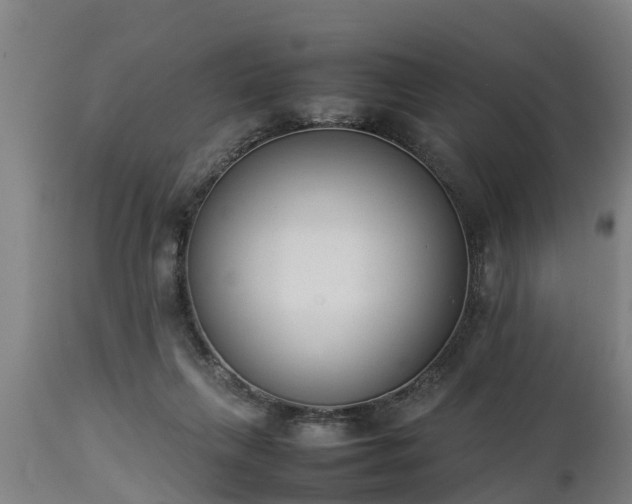 X0000112850263200908281610