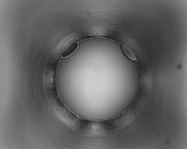 X0000112850264200908281610