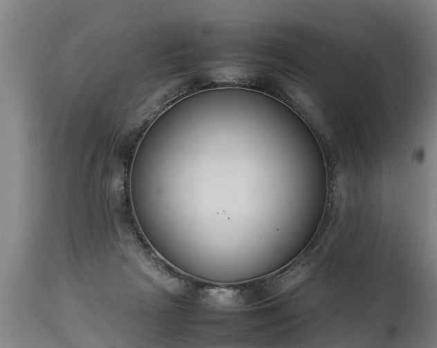 X0000112850265200908281610