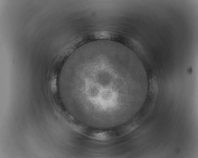 X0000112850267200908281610