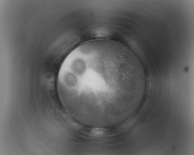 X0000112850269200908281610