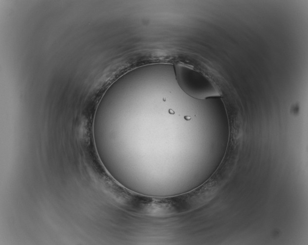 X0000112850270200908281610