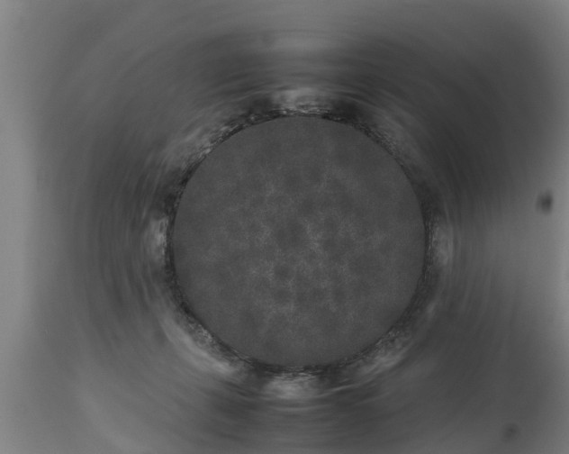 X0000112850271200908281610