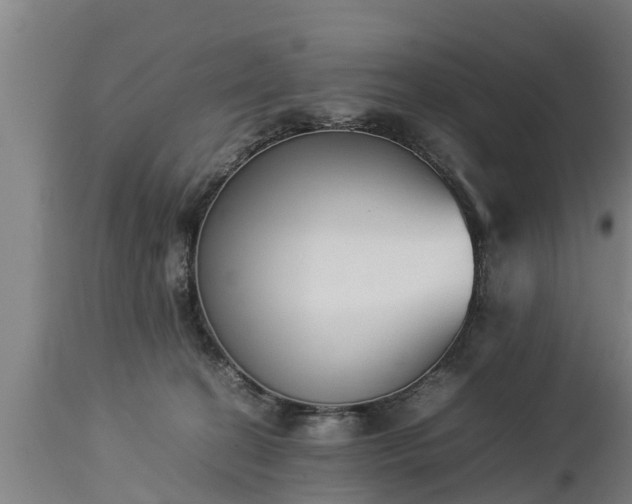 X0000112850274200908281610