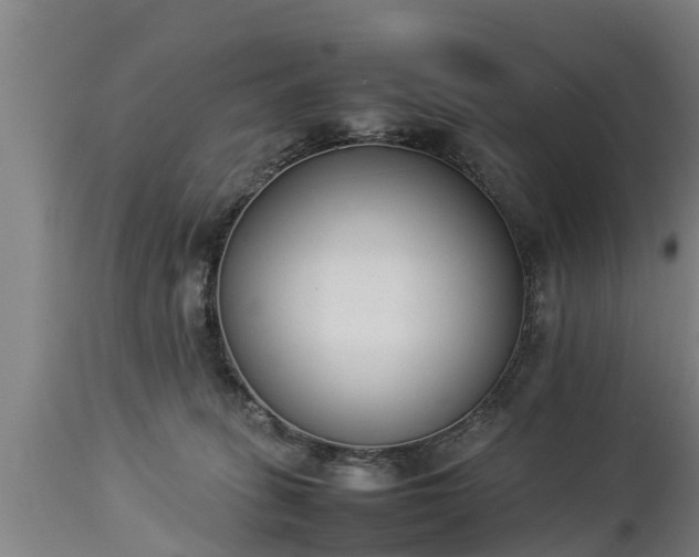 X0000112850275200908281610