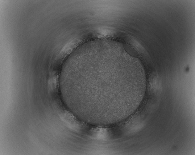 X0000112850276200908281610