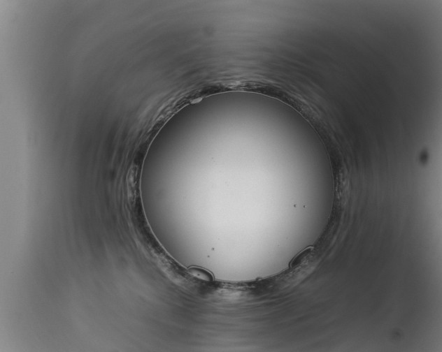 X0000112850280200908281611