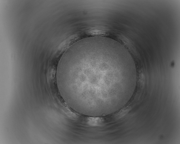 X0000112850281200908281611