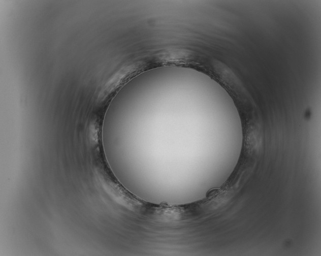 X0000112850282200908281611