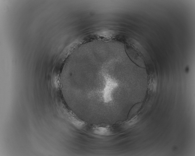 X0000112850285200908281611