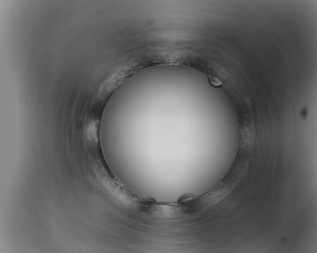 X0000112850286200908281611