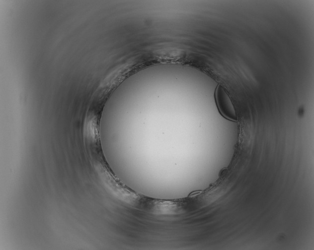 X0000112850287200908281611