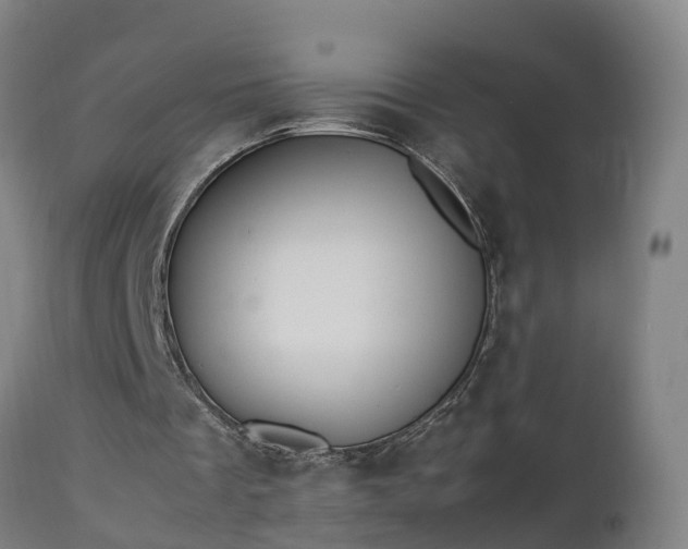 X0000112850289200908281610