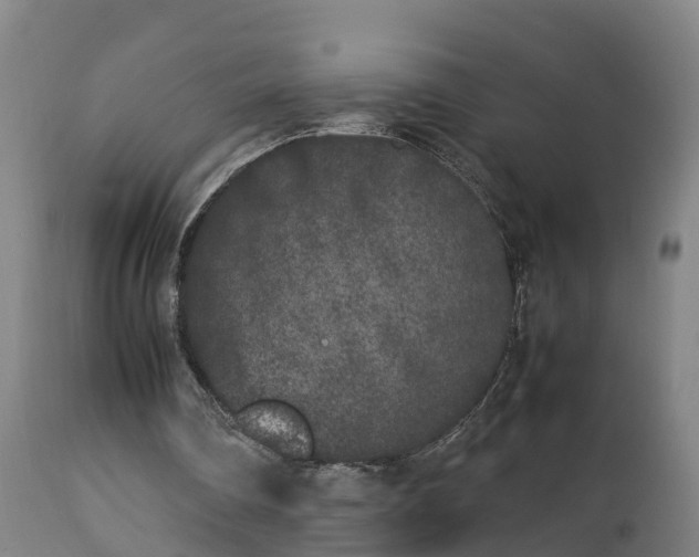 X0000112850290200908281610