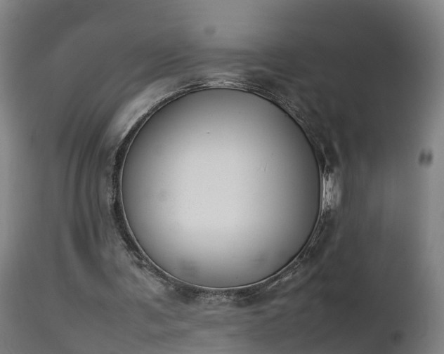 X0000112850291200908281610