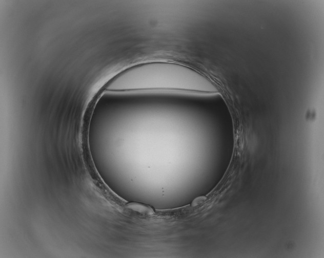 X0000112850292200908281610