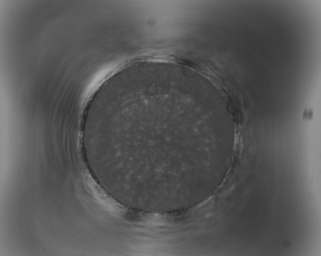 X0000112850293200908281610