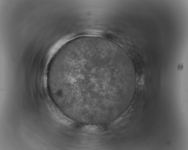 X0000112850294200908281610