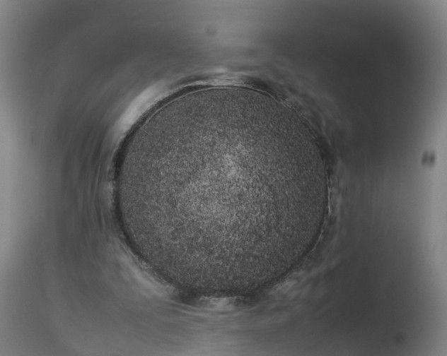 X0000112850295200908281610