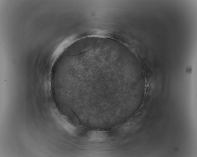 X0000112850296200908281610