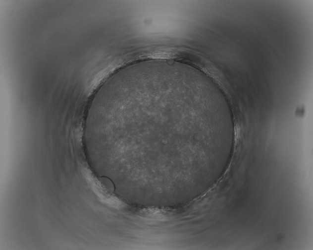 X0000112850297200908281610