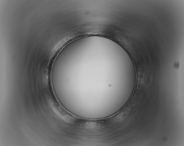 X0000112850298200908281610