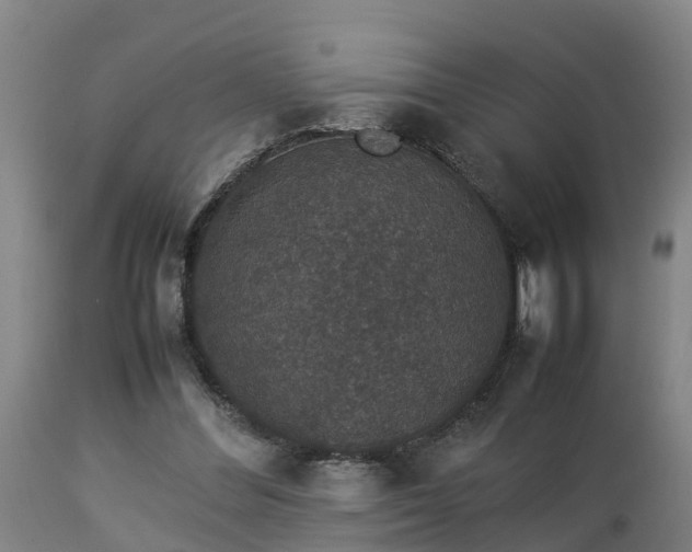 X0000112850300200908281610