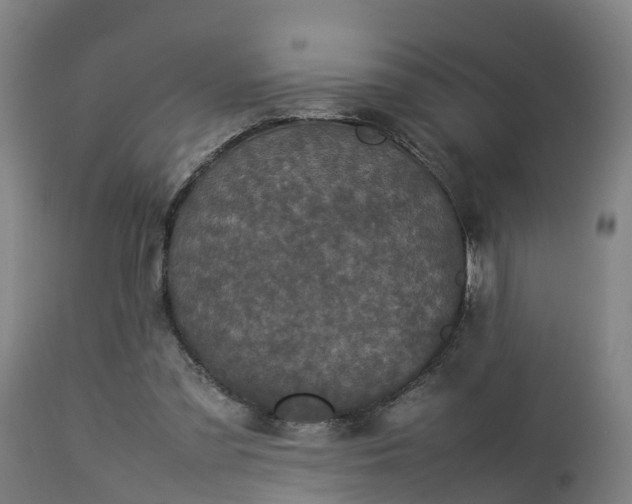 X0000112850301200908281610