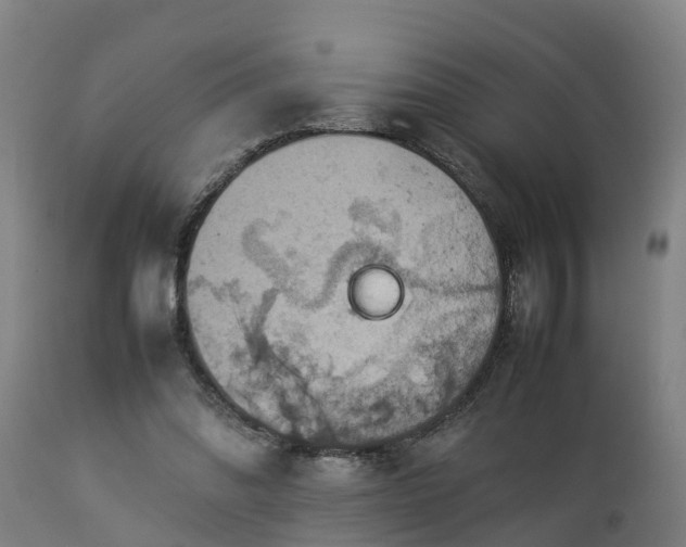 X0000112850302200908281610