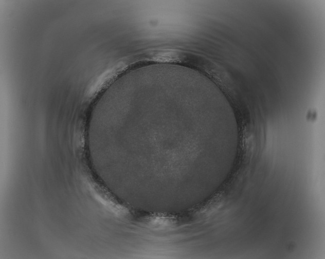 X0000112850303200908281610