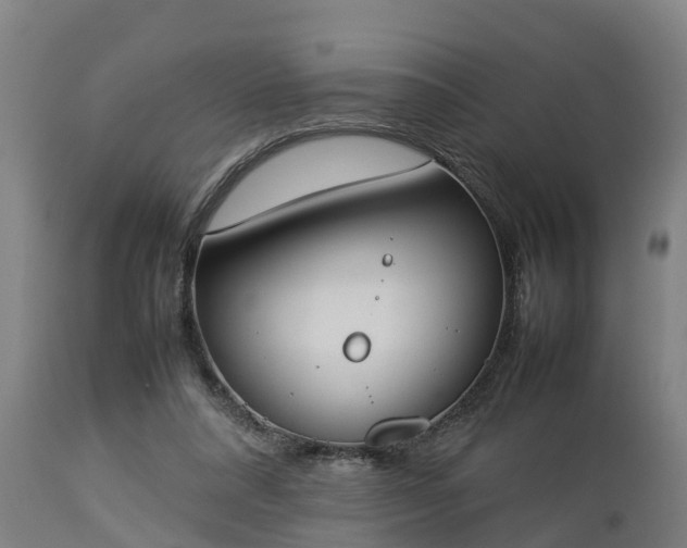 X0000112850304200908281610